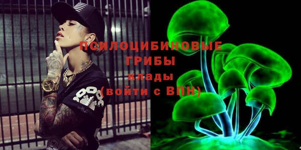 тгк Заводоуковск