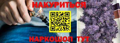 дмт Новодвинск
