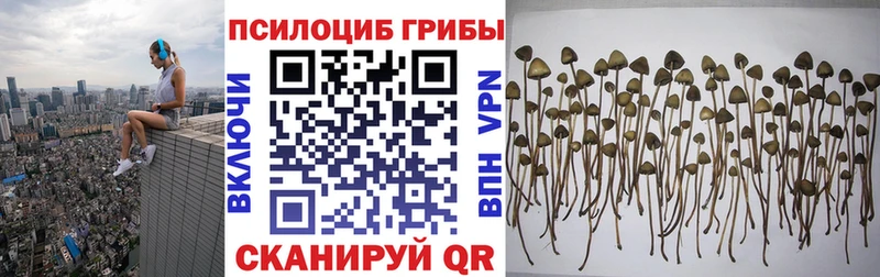 кракен ссылки  наркота  Ханты-Мансийск  Галлюциногенные грибы мицелий 