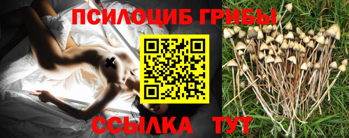 Псилоцибиновые грибы GOLDEN TEACHER Ханты-Мансийск
